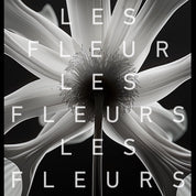 Les Fleurs EDP - Oo La Lab